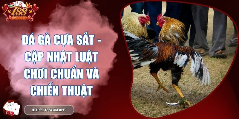 đá gà cựa sắt
