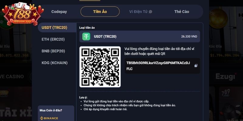 Lưu ý quan trọng khi nạp tiền T88 để tránh lỗi