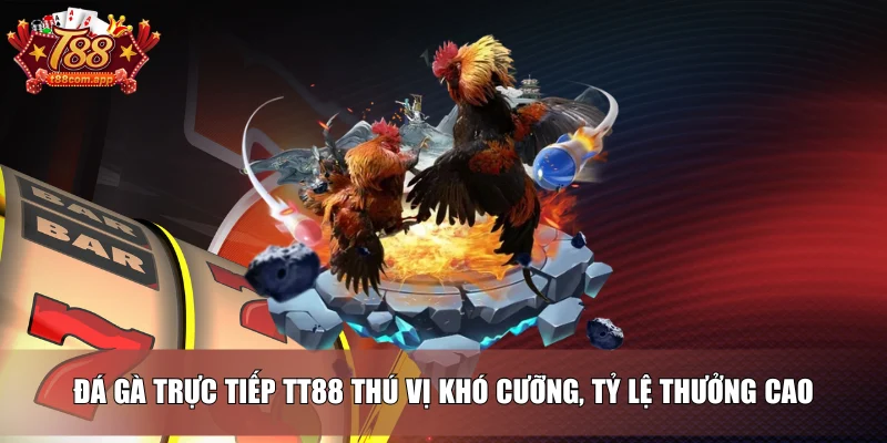 Trang chủ 6 Đá gà trực tiếp TT88 thú vị khó cưỡng, tỷ lệ thưởng cao